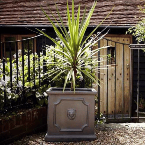 Clayfibre Lion Head Cube Planter Silver