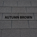 Autumn Brown Shingle