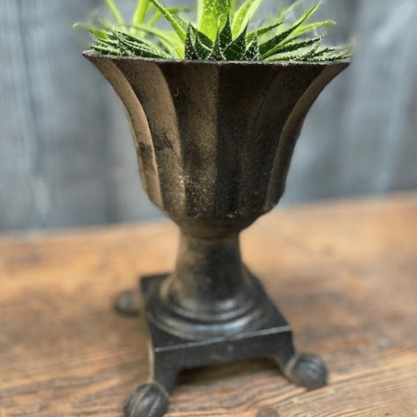 Cast Iron Black Roman Pot with Feet Urn