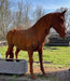 Cast Iron Lifesize Product Horse full side