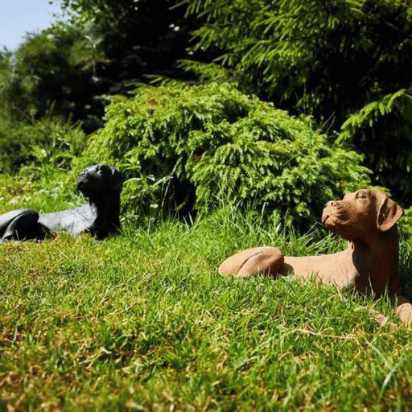 Cast Iron Lying Labrador Statue Both