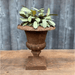 Cast Iron Osborne Urn back