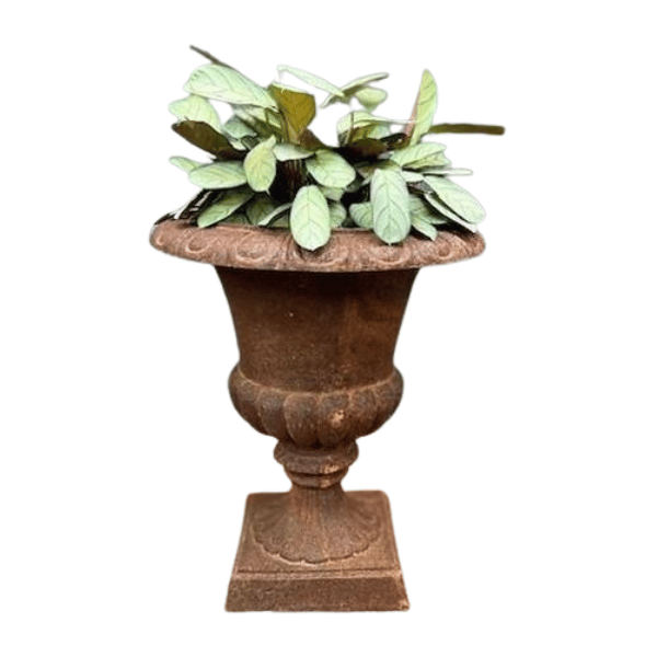 Cast Iron Osborne Urn