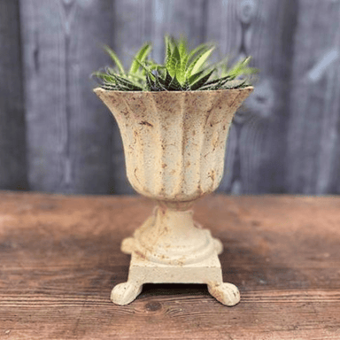 Cast Iron White Roman Pot with Feet