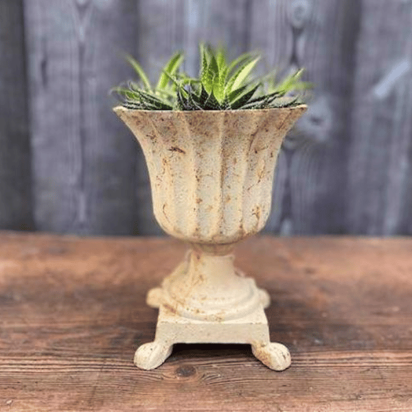 Cast Iron White Roman Pot with Feet