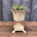 Cast Iron White Roman Pot with Feet