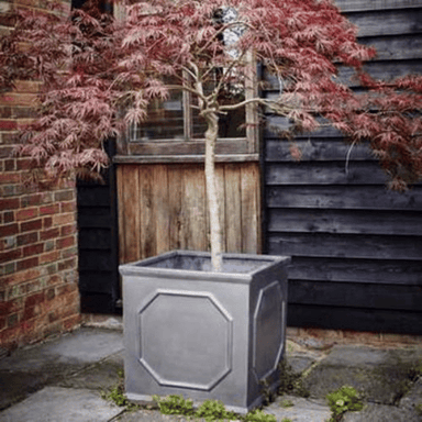 Clayfibre Chelsea Cube Planter   Silver