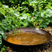 Corten Steel Curved Water Bowl single