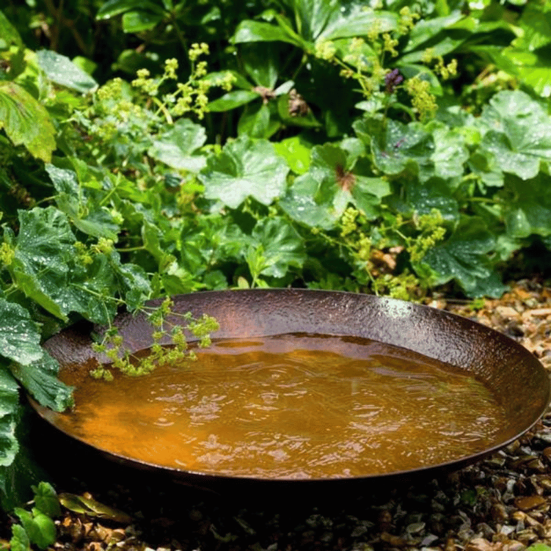 Corten Steel Curved Water Bowl single