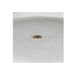 Glazed Ceramic Belaya Fountain   White/Angkor White
top