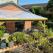 Green Polycarbonate Roof Car Port Green Garden White Opal Sheet Front