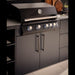 F4 Grill built into The Family Table outdoor kitchen