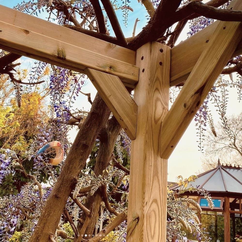 Box Pergola - 3m Width