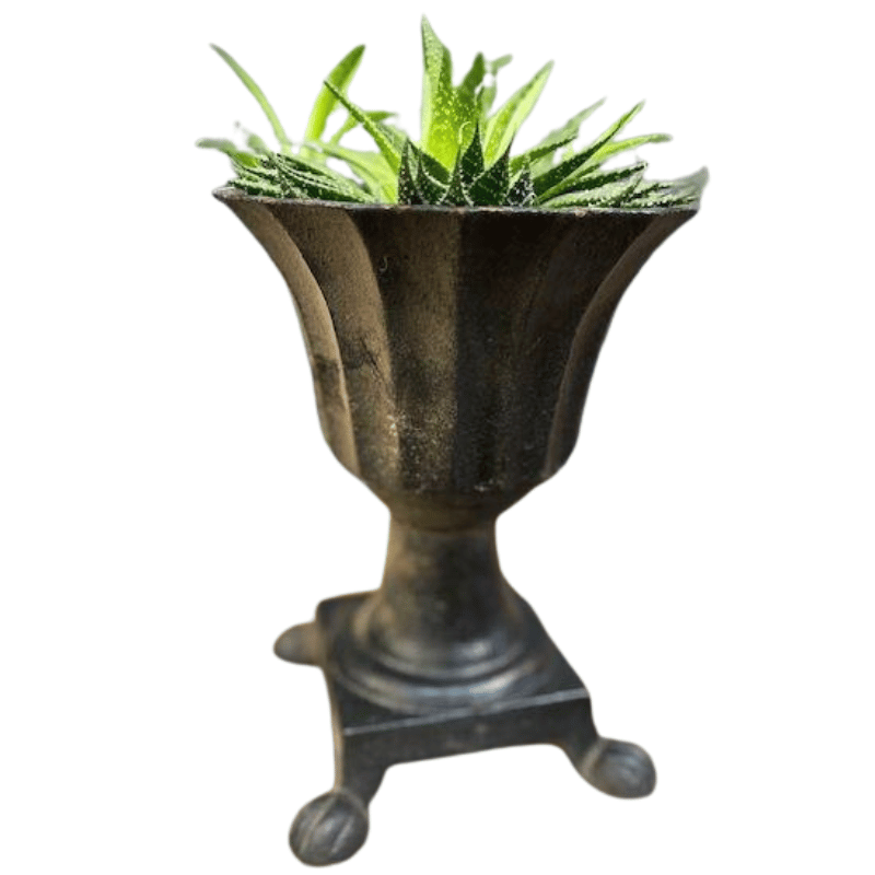 cast iron roman pot with feet black