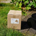 HEAT firelighters 3kg box on a garden lawn